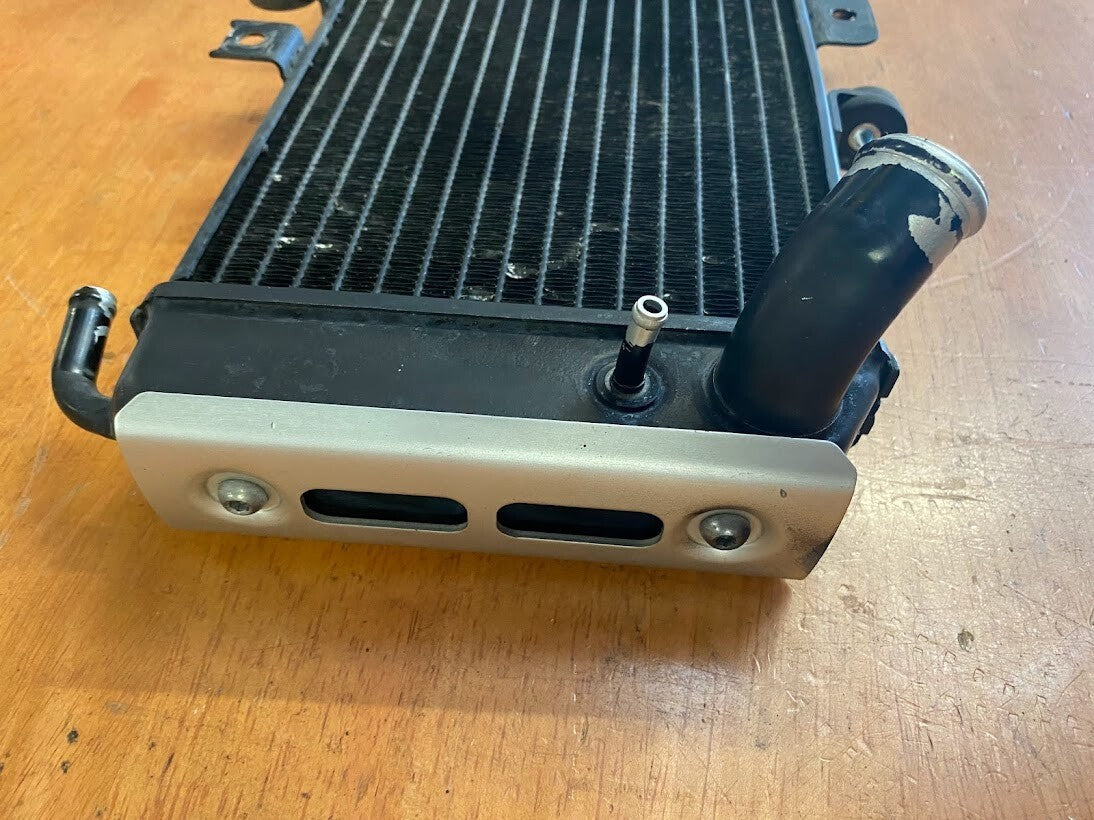 OEM Radiator Yamaha FZS 600 1998