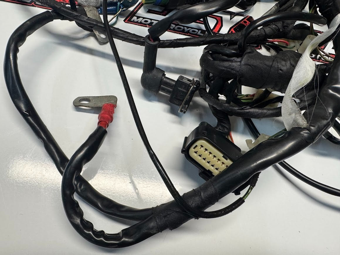 Aprilia RS4 125 4T 2011-2016 Wiring Harness OEM Genuine 898460