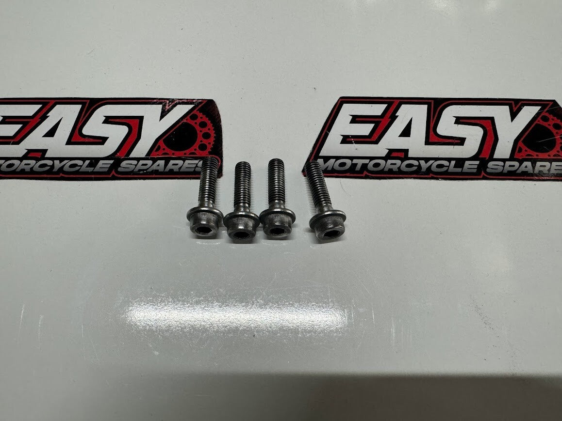 Rear Rotor Bolts Suzuki GS 500 2006