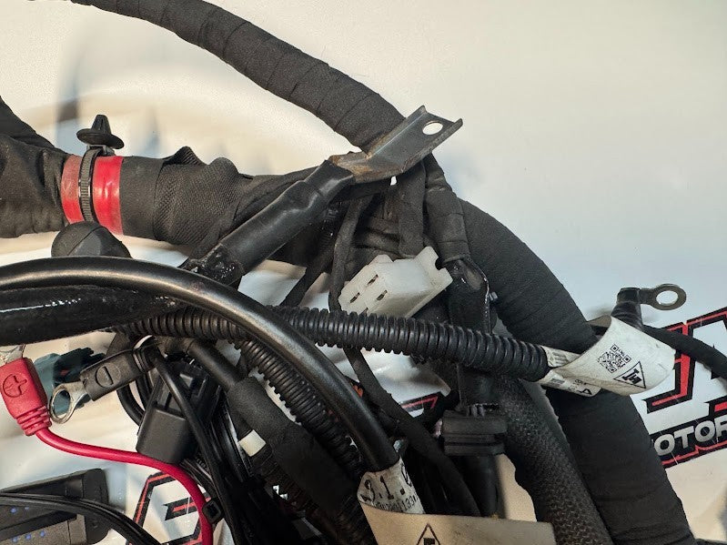 Ducati Monster 659 LAMS 2017-2021 Main Wiring Harness OEM Genuine 5101B851E