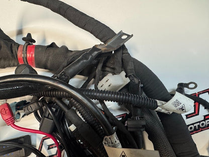 Ducati Monster 659 LAMS 2017-2021 Main Wiring Harness OEM Genuine 5101B851E