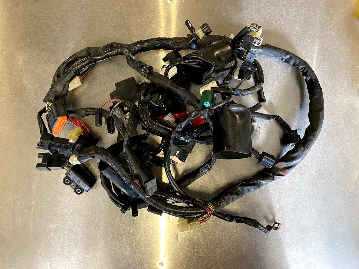 Wiring Harness Yamaha FZ6R 2013