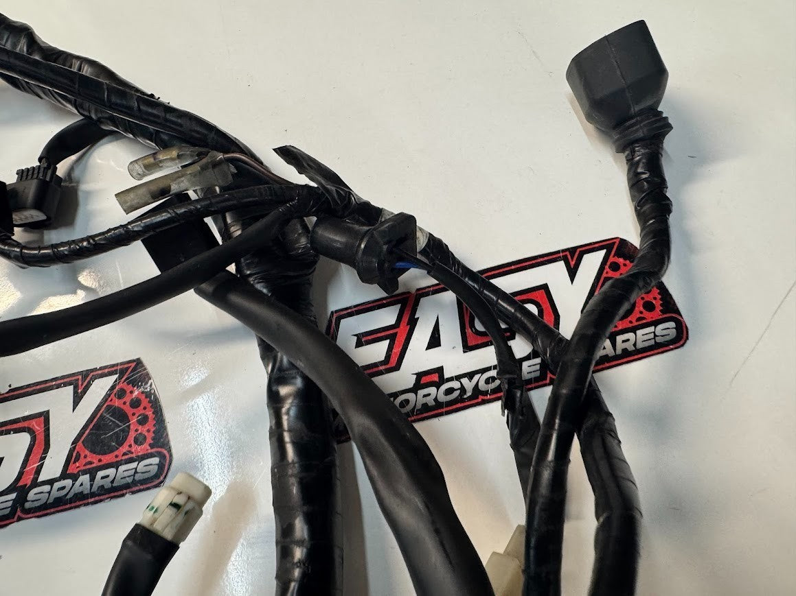 Yamaha YZF R15 2015-2018 Main Wiring Harness OEM Genuine B13-H2590-00