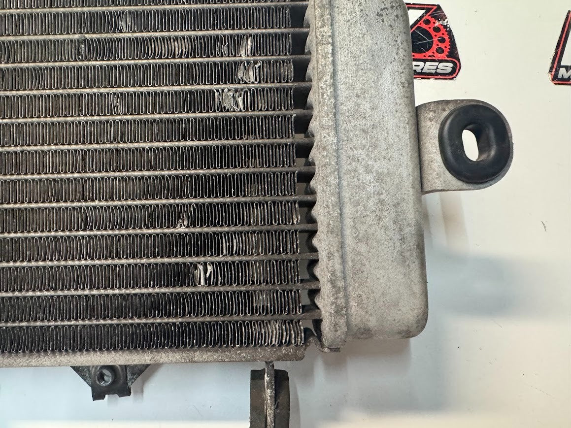 Yamaha YZF R15 2011-2016 Radiator Cooling OEM Genuine 38B-E240A-00