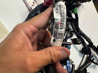 Kawasaki Ninja 500 2024-2025 Main Wiring Harness OEM Genuine 26031-4293
