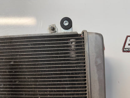 Radiator Cooling Kawasaki Ninja 300 2013-2017 OEM 39060-0710