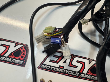 Yamaha YZF R15 2015-2018 Main Wiring Harness OEM Genuine B13-H2590-00