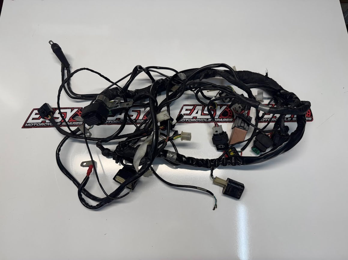 Aprilia RS4 125 4T 2011-2016 Wiring Harness OEM Genuine 898460