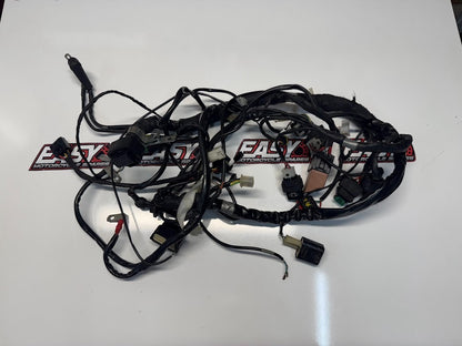 Aprilia RS4 125 4T 2011-2016 Wiring Harness OEM Genuine 898460