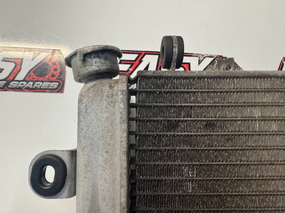 Yamaha YZF R15 2011-2016 Radiator Cooling OEM Genuine 38B-E240A-00