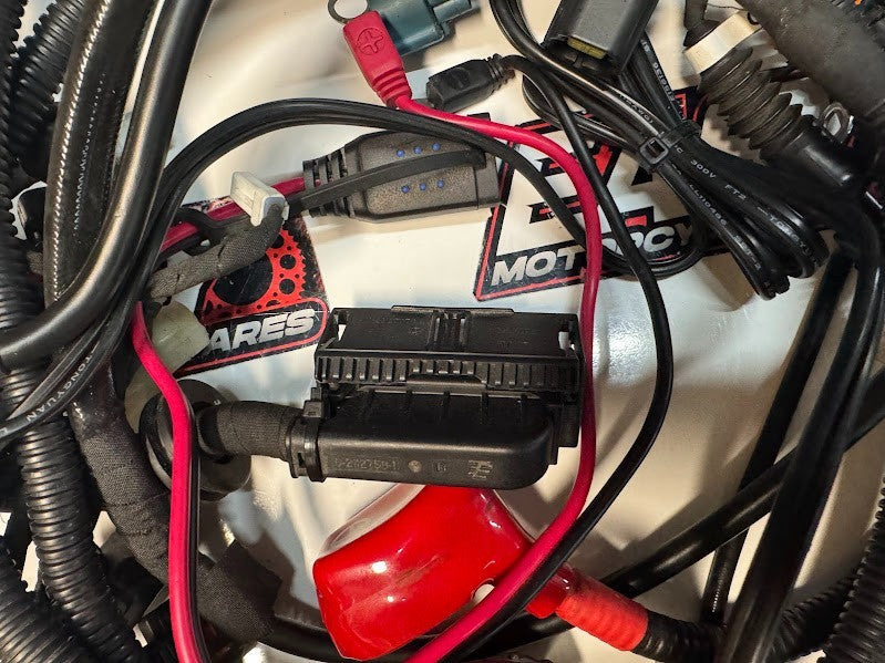 Ducati Monster 659 LAMS 2017-2021 Main Wiring Harness OEM Genuine 5101B851E