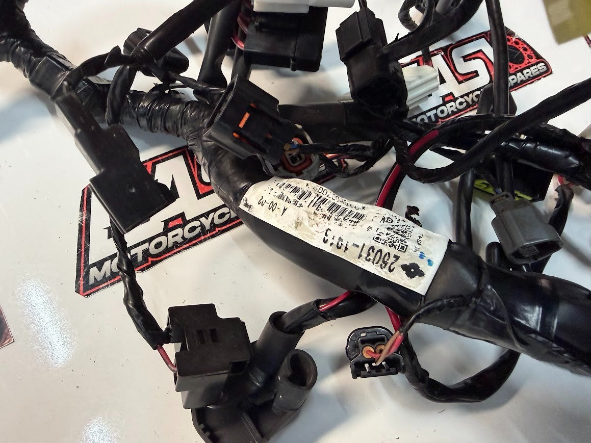 Main Wiring Harness Loom Kawasaki Ninja 650L 2012-2016 OEM 26031-1913