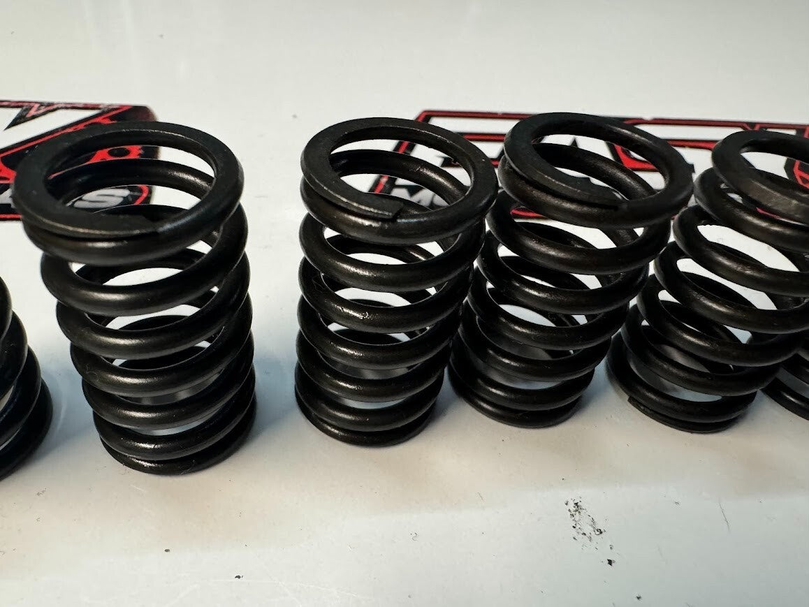 Honda XR 250 Clutch Springs
