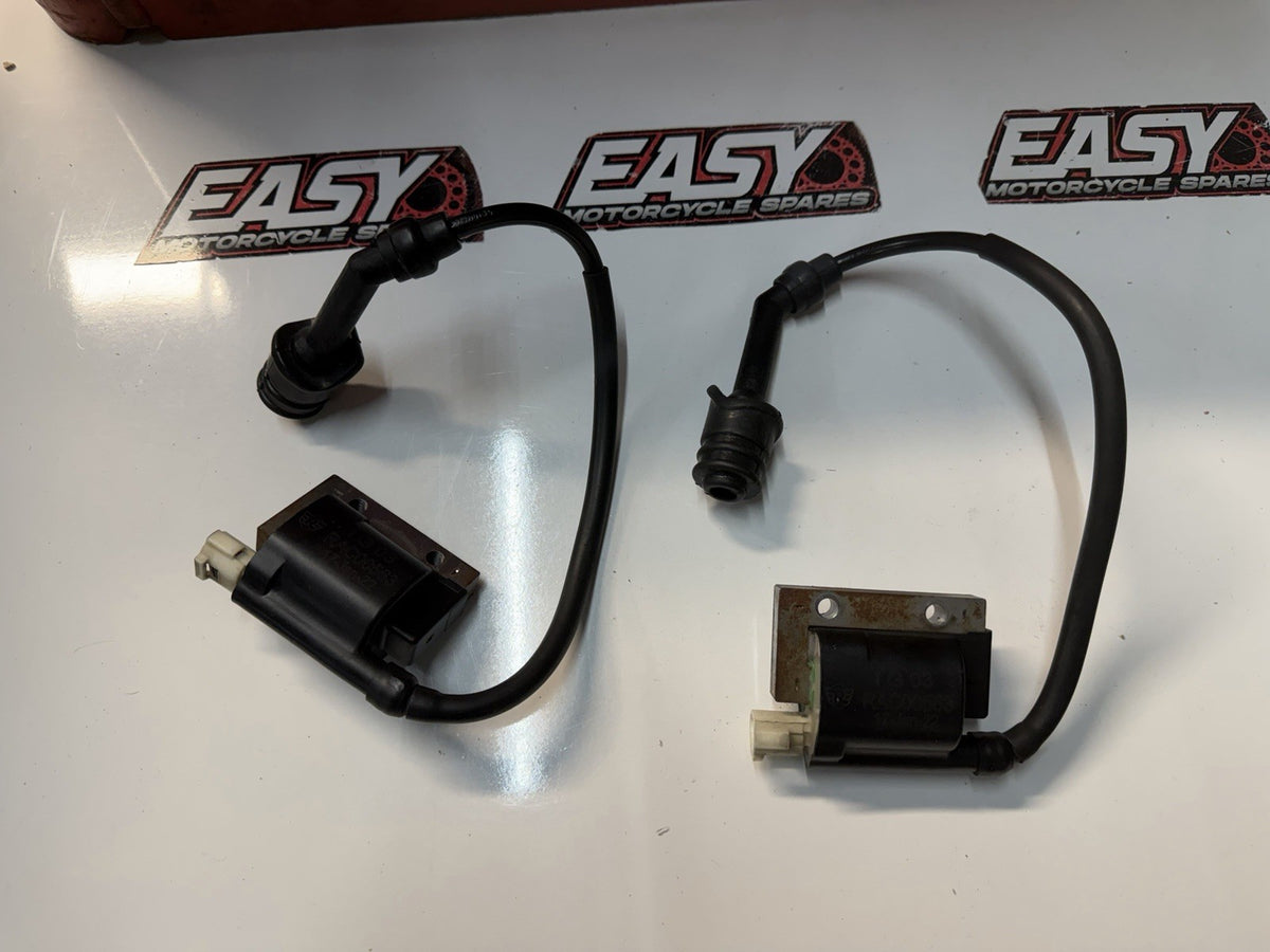 Royal Enfield Interceptor 650 2022 Ignition Coils OEM Genuine RAC00455 Euro 5