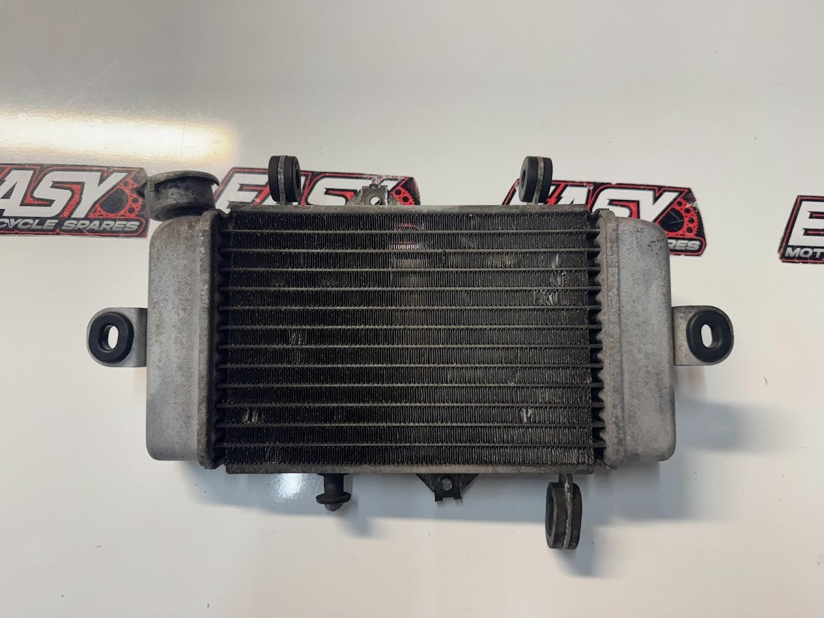 Yamaha YZF R15 2011-2016 Radiator Cooling OEM Genuine 38B-E240A-00