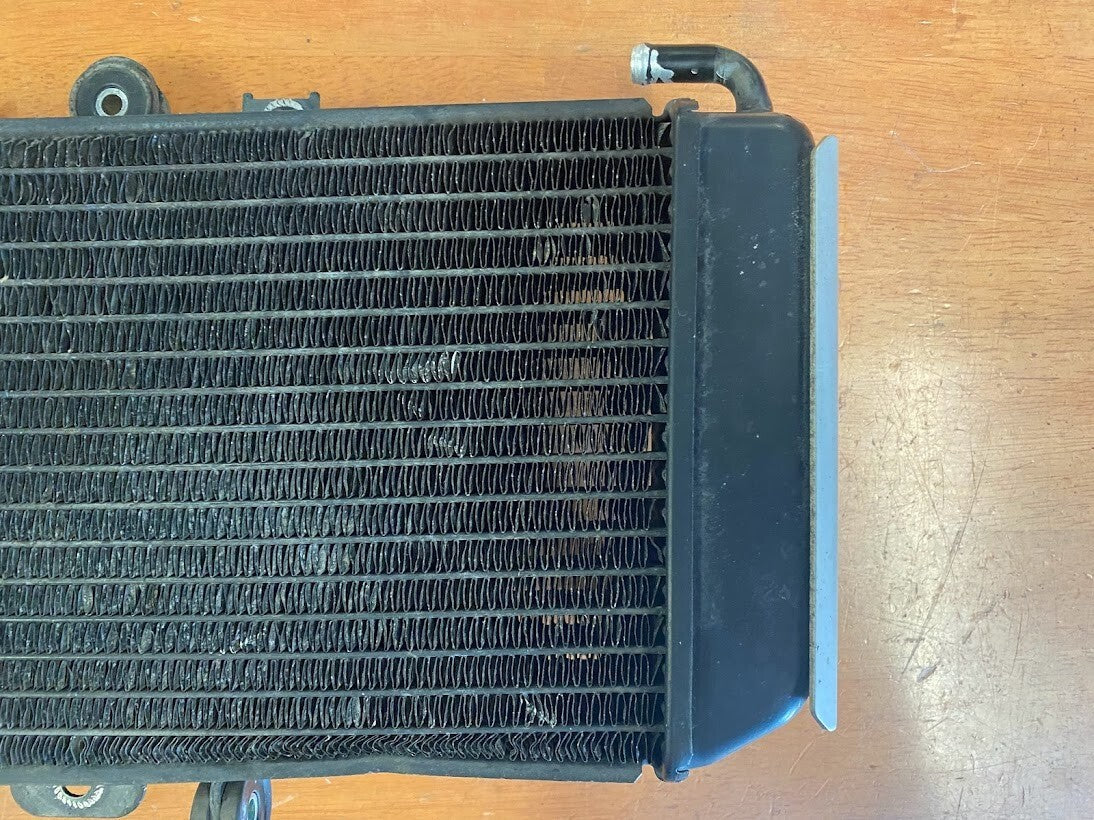 OEM Radiator Yamaha FZS 600 1998