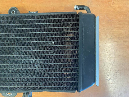 OEM Radiator Yamaha FZS 600 1998