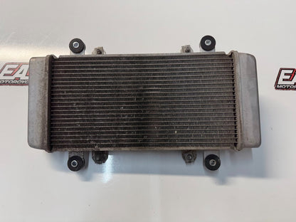 Radiator Cooling Kawasaki Ninja 300 2013-2017 OEM 39060-0710