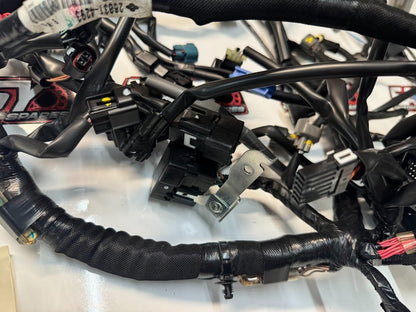 Kawasaki Ninja 500 2024-2025 Main Wiring Harness OEM Genuine 26031-4293