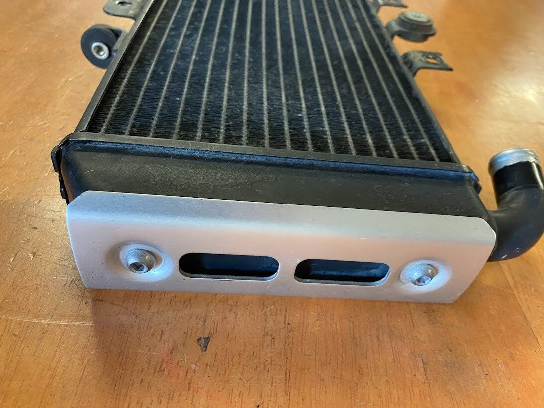 OEM Radiator Yamaha FZS 600 1998