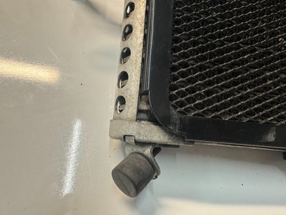 BMW S1000RR 2016 Oil Cooler OEM Genuine K46 17218545633