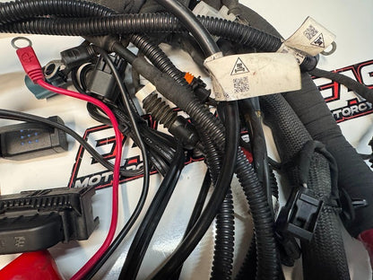 Ducati Monster 659 LAMS 2017-2021 Main Wiring Harness OEM Genuine 5101B851E
