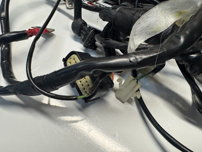 Aprilia RS4 125 4T 2011-2016 Wiring Harness OEM Genuine 898460