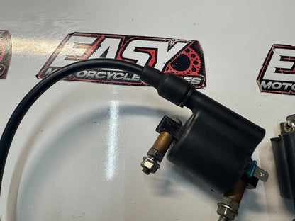 Kawasaki Vulcan VN900 Classic 2006-2022 Ignition Coils Pair OEM 21121-0027