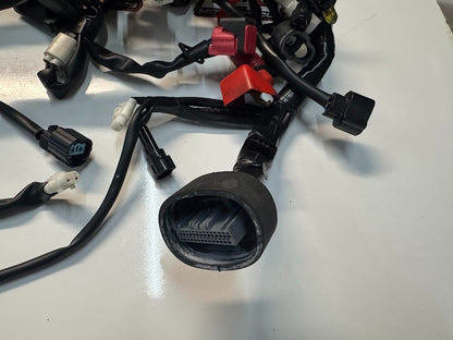 Yamaha YZF R1 2020-2025 Main Wiring Harness OEM Genuine B3L-82590-02