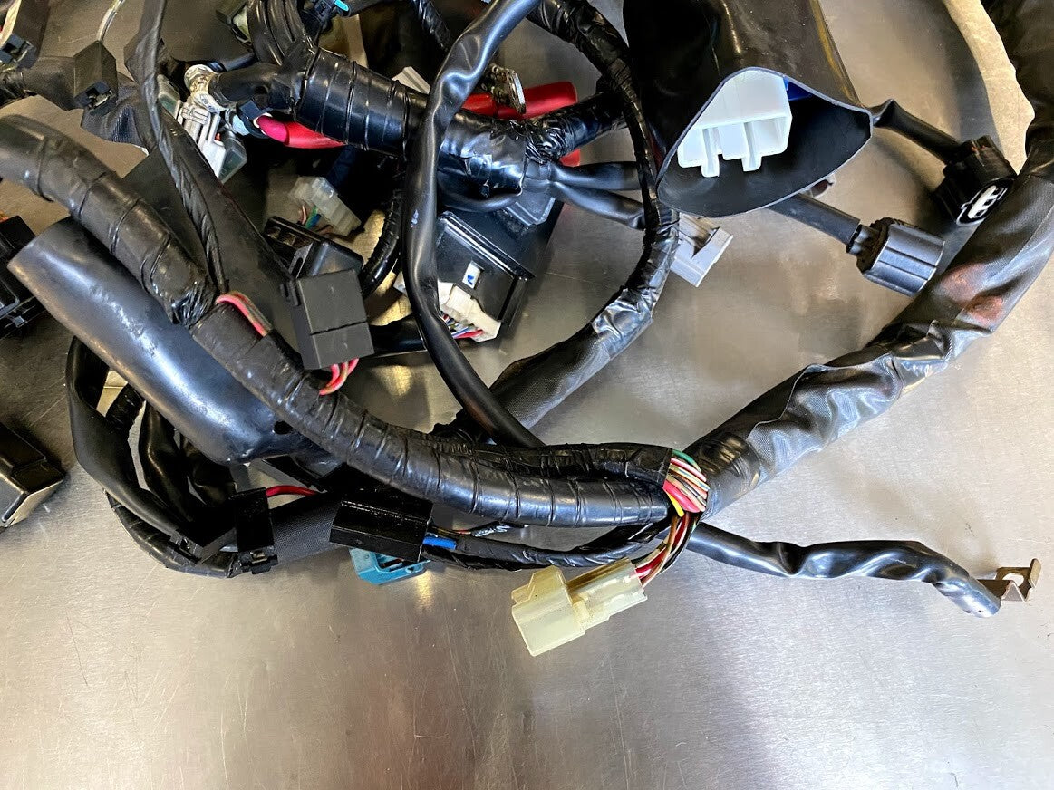 Wiring Harness Yamaha FZ6R 2013
