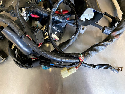 Wiring Harness Yamaha FZ6R 2013