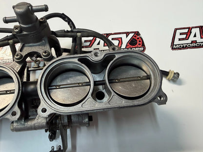 Throttle Bodies Yamaha FZ1 S 2006-2014 OEM 2D1-13750-20