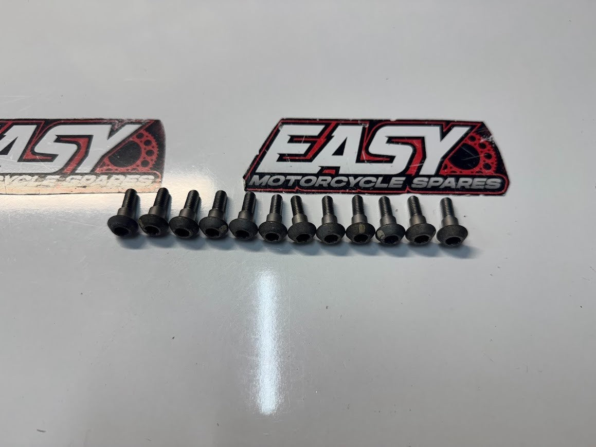 Suzuki GSXR 1000 2009-2016 Front Rotor Bolts OEM Genuine 09106-06124