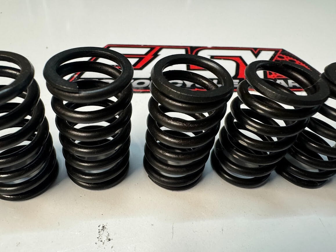 Honda XR 250 Clutch Springs
