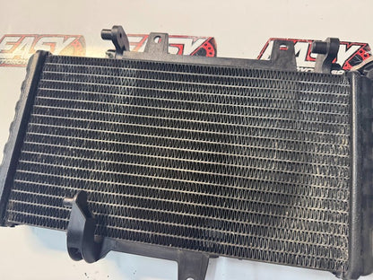 BMW F800 ST 2009 Radiator Cooling OEM Genuine 17117678284