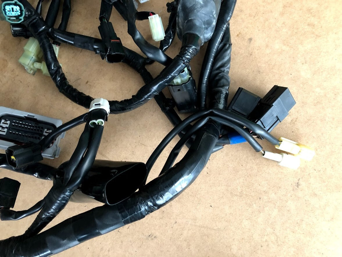 Wiring Harness Yamaha FJR 1300 2016