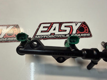 Secondary Injectors & Rail Kawasaki Ninja ZX-10R 2011-2025 OEM 49056-0032