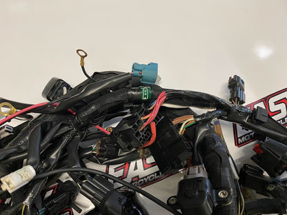 Wiring Harness Kawasaki Ninja ZX1000 2017