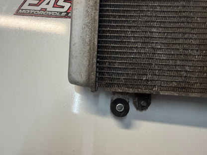Radiator Cooling Kawasaki Ninja 300 2013-2017 OEM 39060-0710