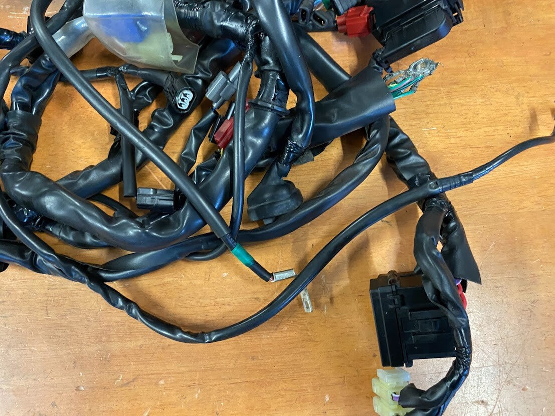 Wiring Harness Honda CMX 500 2019