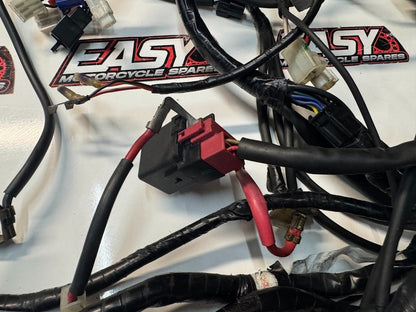 Yamaha YZF R15 2015-2018 Main Wiring Harness OEM Genuine B13-H2590-00