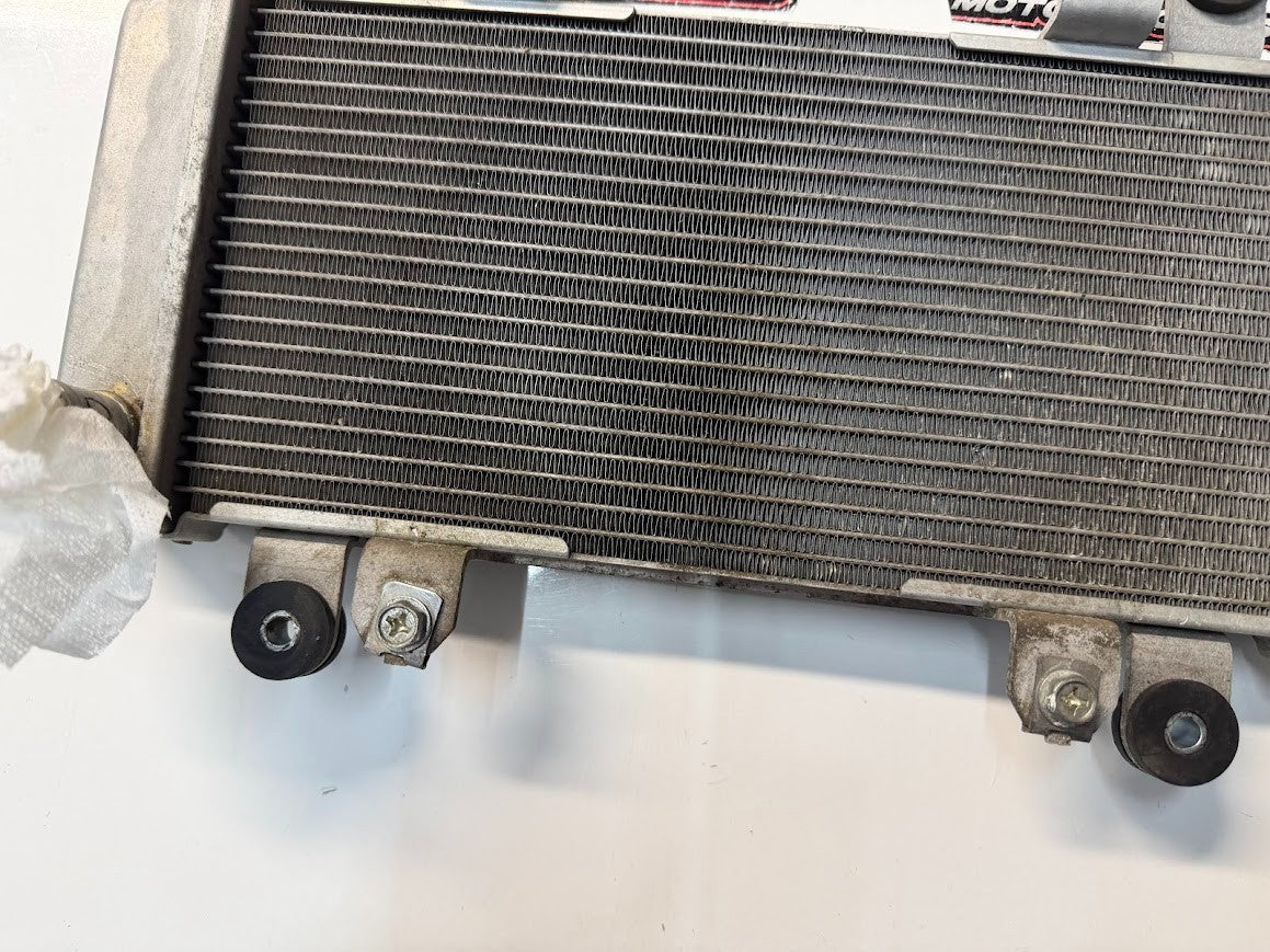 Radiator Cooling Kawasaki Ninja 300 2013-2017 OEM 39060-0710