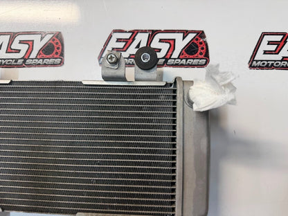 Radiator Cooling Kawasaki Ninja 300 2013-2017 OEM 39060-0710
