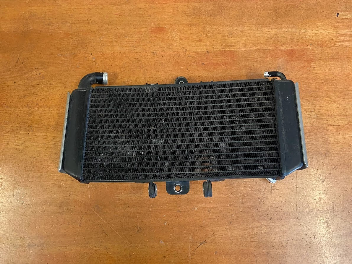 OEM Radiator Yamaha FZS 600 1998