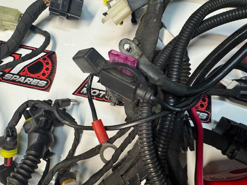 Ducati Monster 659 LAMS 2017-2021 Main Wiring Harness OEM Genuine 5101B851E