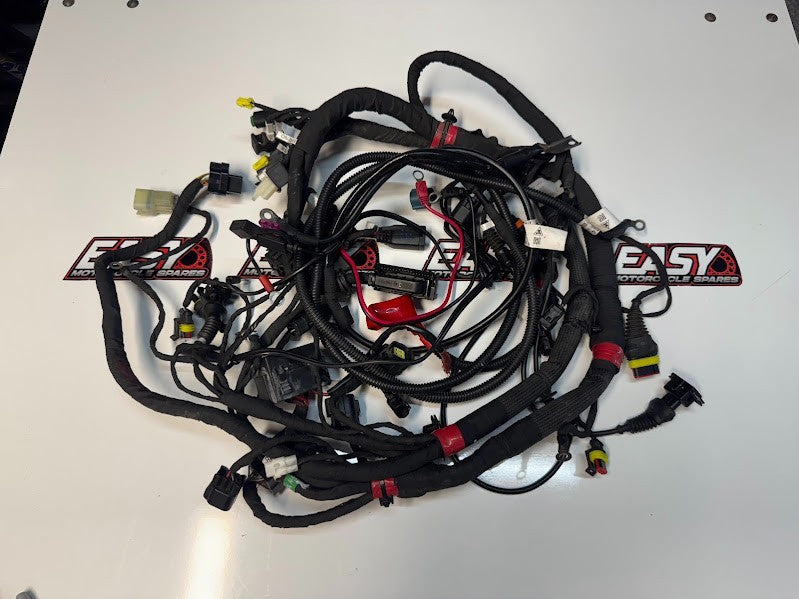 Ducati Monster 659 LAMS 2017-2021 Main Wiring Harness OEM Genuine 5101B851E