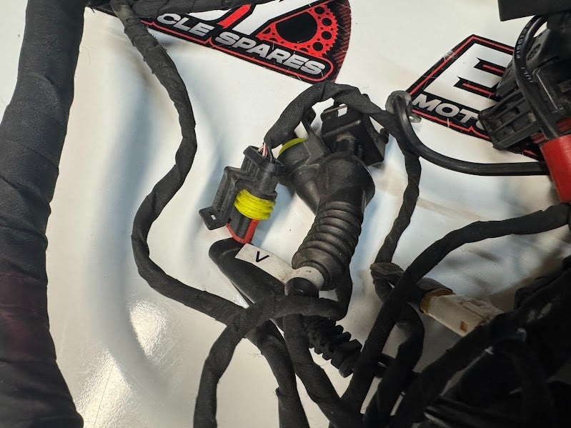 Ducati Monster 659 LAMS 2017-2021 Main Wiring Harness OEM Genuine 5101B851E