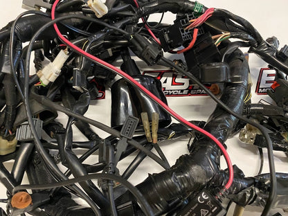 Wiring Harness Kawasaki Ninja ZX1000 2017