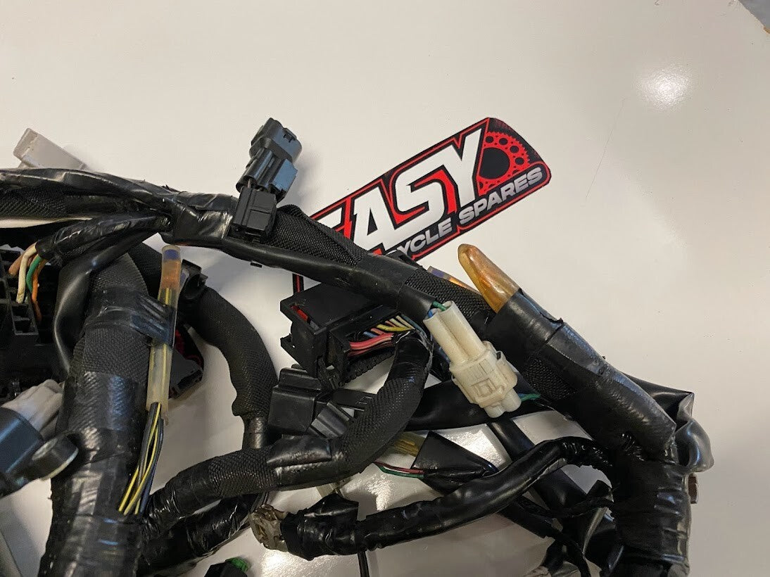 Wiring Harness Kawasaki Ninja ZX1000 2017