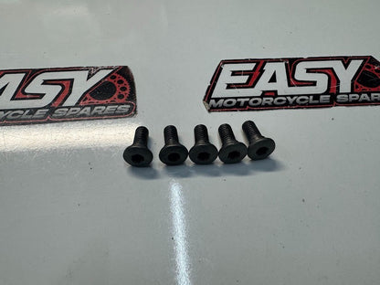 Yamaha YZF R1 2004-2025 Rear Brake Rotor Bolts OEM Genuine 90149-08010